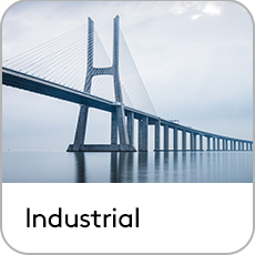 large bridge